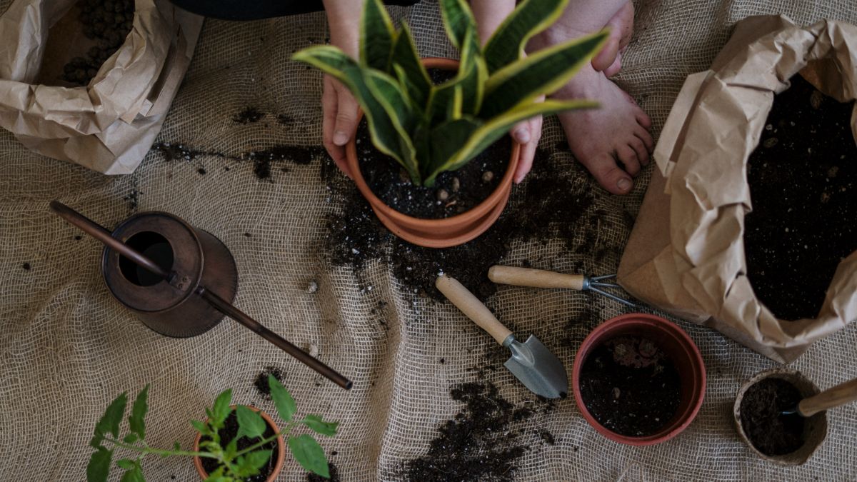 Fête des mères 2023 : Nos idées-cadeaux jardinage incroyables !