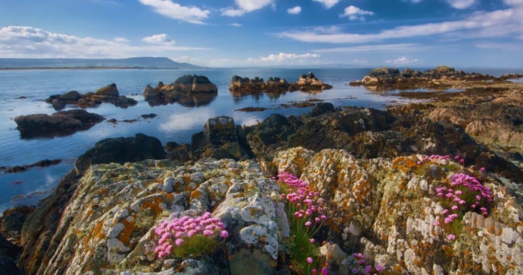 "Our living islands" : L'Irlande offre 84 000 euros pour s'installer sur une île isolée